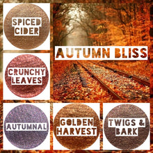 Load image into Gallery viewer, Autumn Bliss